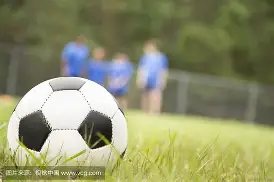 版本更新-足球队员获得掌声，实力表现备受赞誉 